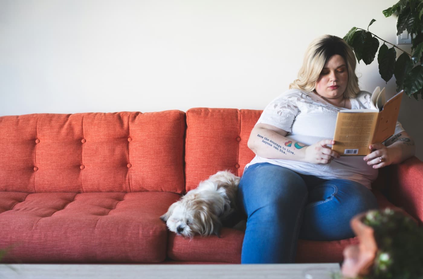 Frau liest auf einem Sofa ein Buch, neben ihr schläft ein kleiner langhaariger Hund