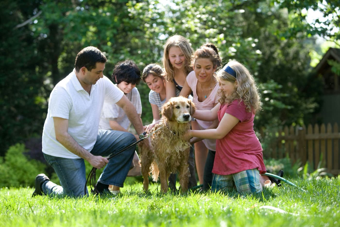 Vater und Kinder baden gemeinsam einen langhaarigen Hund im Garten